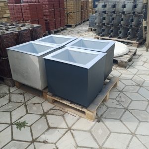 1000024921